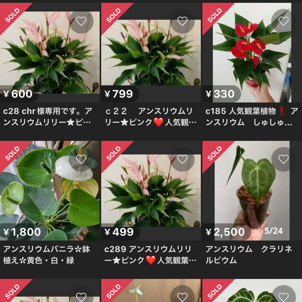 LiLiさま 専用ページ LiLiさま 専用ページ Liliさま専用ページ Lサイズあり【Glossy