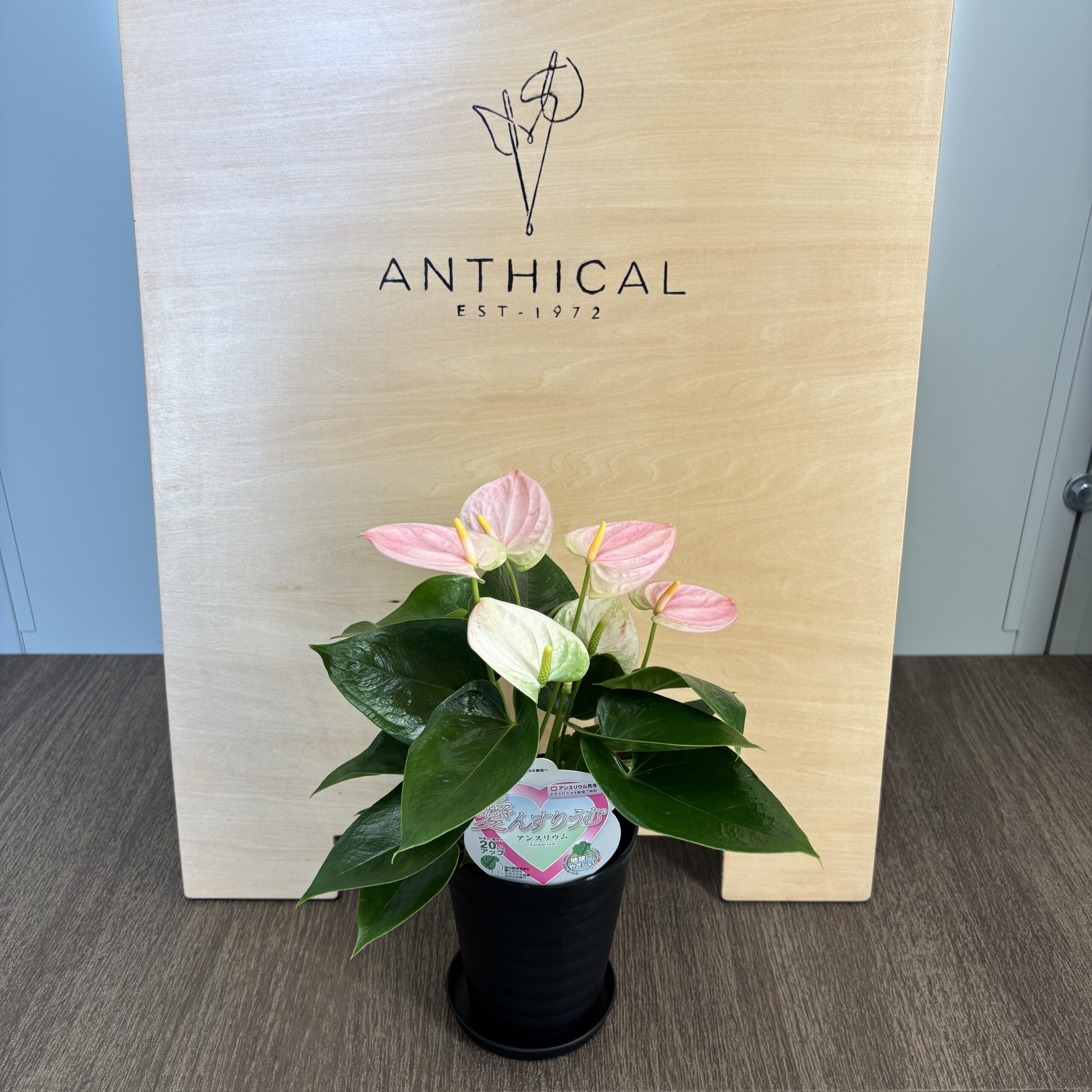 ラベルに品種名を入れるべき｣というご意見に対して | ANTHICAL